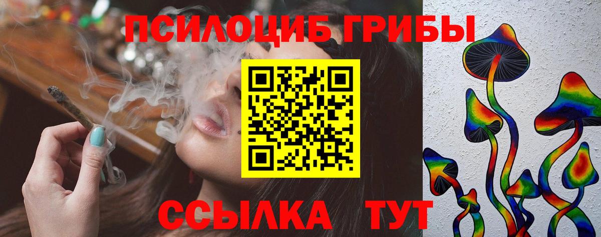 даркнет сайт  Вход с VPN  Среднеуральск  Псилоцибиновые грибы Psilocybe 